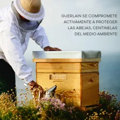 ABEILLE ROYALE CRÈME YEUX 15ml