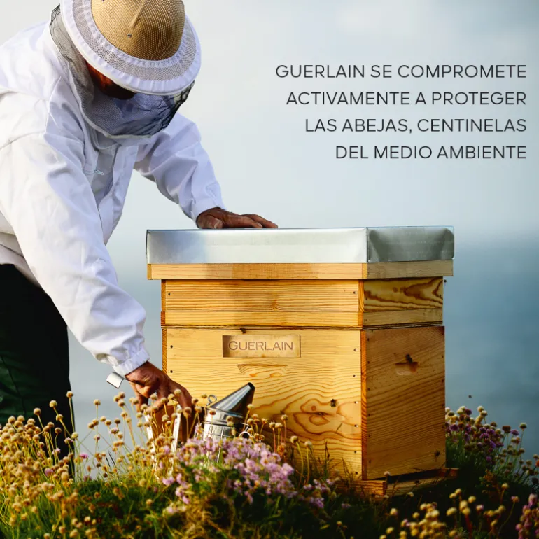 ABEILLE ROYALE CRÈME YEUX 15ml