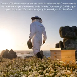 Abeille Royale Sérum Aqueux à L'huile de Jeunesse