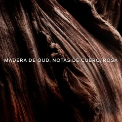 Absolus Allegoria Oud Essentiel Eau de Parfum