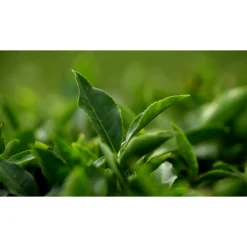 AQ MELIORITY RADIANCE REPAIR FOAMING FACE WASH 200 ML