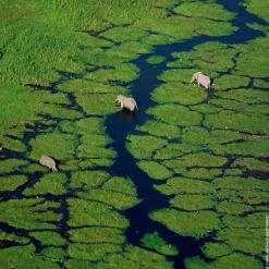 AQUA ALLEGORIA  Bergamote Calabria Eau de Toilette