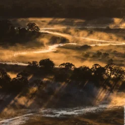 AQUA ALLEGORIA FORTE BOSCA VANILLA  EAU DE PARFUM
