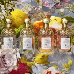 AQUA ALLEGORIA NEROLIA VETIVER EAU DE TOILETTE