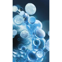 Aquasource Hydra Barrier Shoothing Cream-to-Foam Cleanser Nettoyant pour le Visage