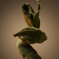 BOSS BOTTLED EAU DE PARFUM