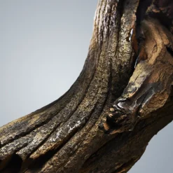 Boss Bottled Eau De Toilette Vaporisateur