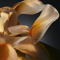 BOSS BOTTLED PARFUM EAU DE PARFUM VAPORISATEUR