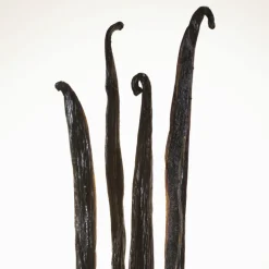 Burberry Goddess Eau de Parfum Intense pour Femme