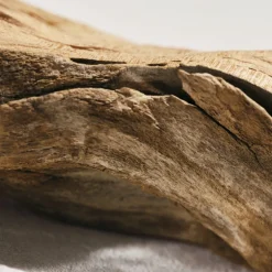 Chloé L'Eau de Parfum Intense pour Femmes