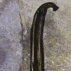 CHLOÉ NOMADE NUIT D'EGYPTE EAU DE PARFUM