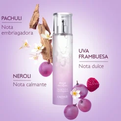 COFFRET ADICCION AGNE DES VIGNES