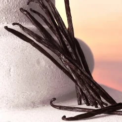 Coffret Devotion Eau de Parfum Intense y Format Voyage