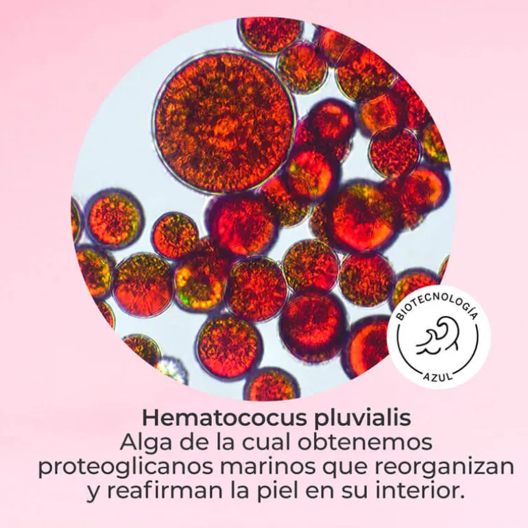 COFFRET SEGLE DMAE LIFT 10