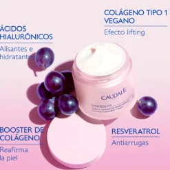 CRÈME CACHEMIR REDENSIFIANTE RESVERATROL-LIFT REFILL