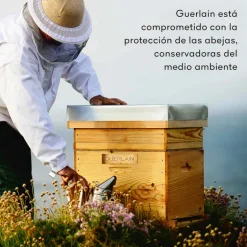 CRÈME DE NUIT ABEILLE ROYALE HONEY TREATMENT