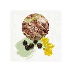 DOJOU FOR HIM COFFRET EAU DE TOILETTE