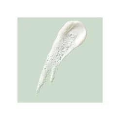 FOAMING CREAM CLEANSER