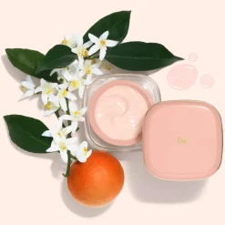 Fresh Skin Glow-Bounce Ceramide Cream