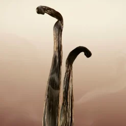 GODDESS EAU DE PARFUM