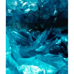 GOMMAGE DU VISAGE THE RENEWAL OIL EXFOLIATOR