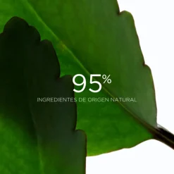 Gommage Exfoliant Fresh Scrub