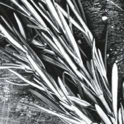 IN ABUNDANCE EDP VAPOURISATEUR