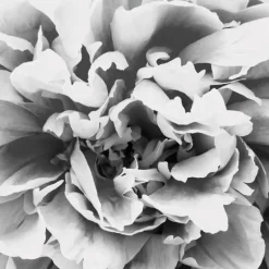 IN LUCK EDP VAPOURISATEUR