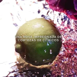 La Petite Robe Noire Coffret Eau de Toilette