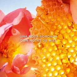 La Petite Robe Noire Honey Rose Eau de Parfum Édition Limitée