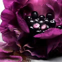 Le Nuit Trésor Le Parfum Femmes Floral