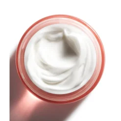 Moisture Surge Réhydratant 72H 75ml Édition limitée