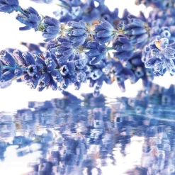 Mon Guerlain Coffret Eau de Parfum