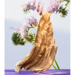 OMNIA AMETHYSTE EAU DE TOILETTE