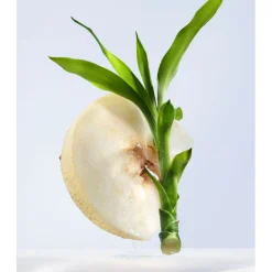 OMNIA CRYSTALLINE EAU DE TOILETTE