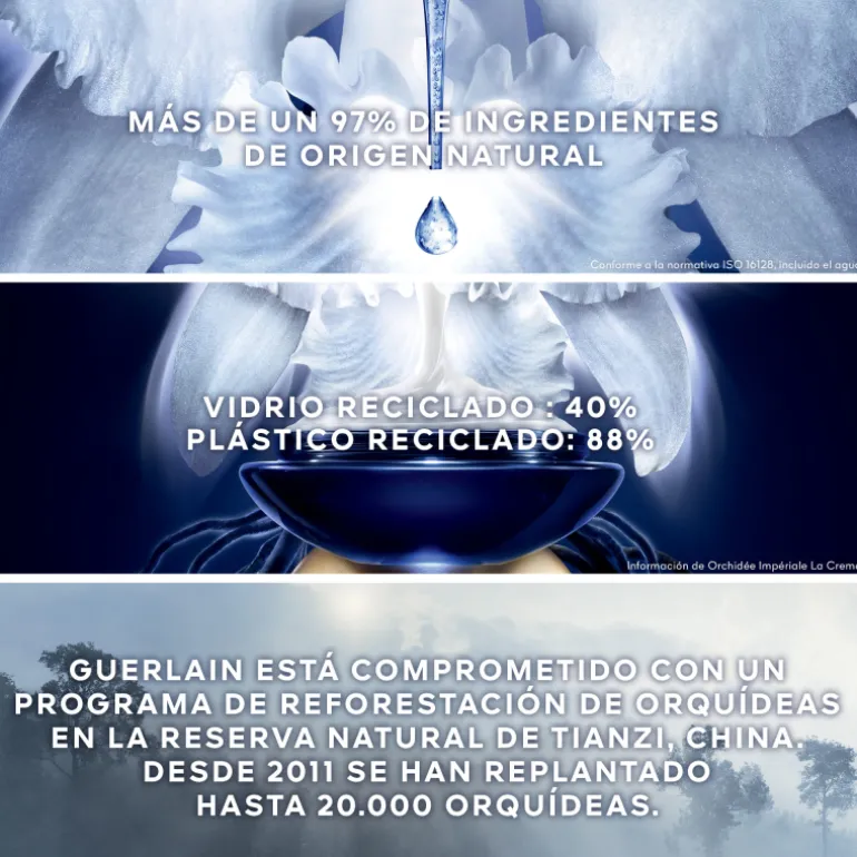 Orchidée Impériale Le Masque