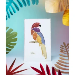 Parrot Ombre à Paupières