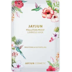 Pollution-Proof Luminous Mask