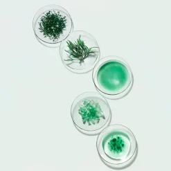 Powercell Skinmunity Essence de Régénération Intense