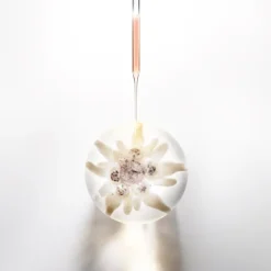 Prodigy Cell Glow Eye Cream 15ml