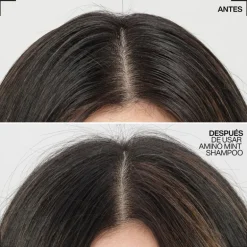 Redken Amino Mint Shampooing 300ml