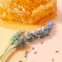 RÊVE TRAITEMENT DES LÈVRES AU MIEL 10ML