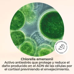 SEGLE VITAL C FACIAL SERUM