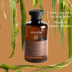 Shampooing Antipelliculaire Gras