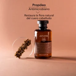 Shampooing Antipelliculaire Gras