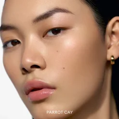 Solar Infusion Soft-Focus Cream Bronzer