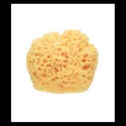 SPONJA NATURELLE