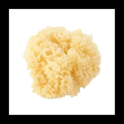 SPONJA NATURELLE