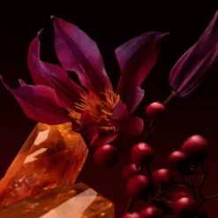 The Scent Elixir Parfum Intense pour Femmes