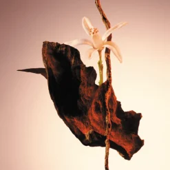 The Scent Parfum pour Femme